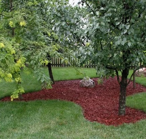 st johns county florida tree services