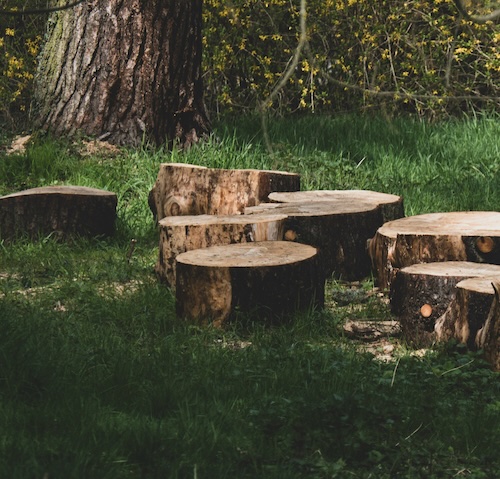 stump grinding and tree services nassau county florida